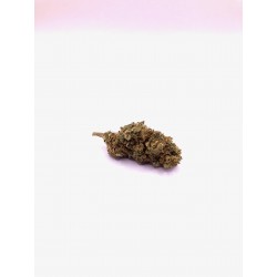 Fleurs de CBD Amnesia  DouceurCBD