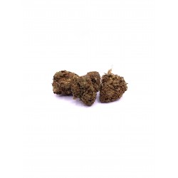 Fleurs - CBD - Jack Herrer - DouceurCBD